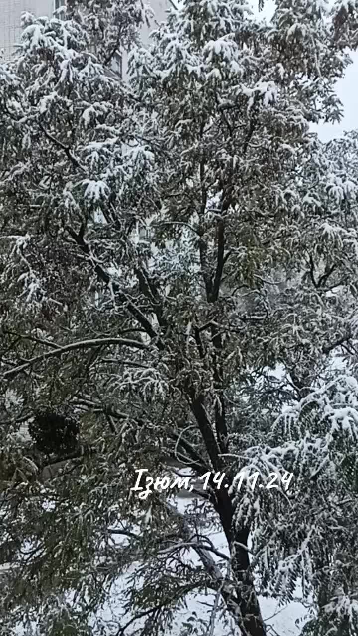 @🇺🇦Украіночка🇺🇦💙💛