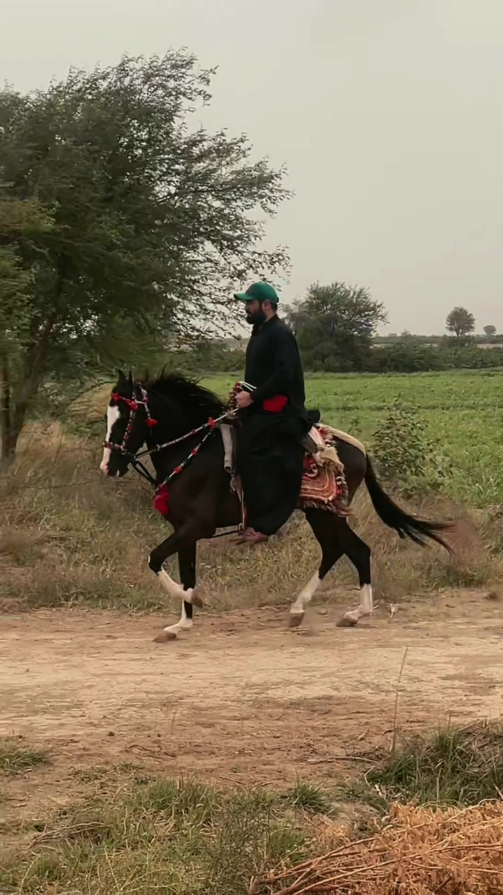 @Arbab Ameer Inamullah