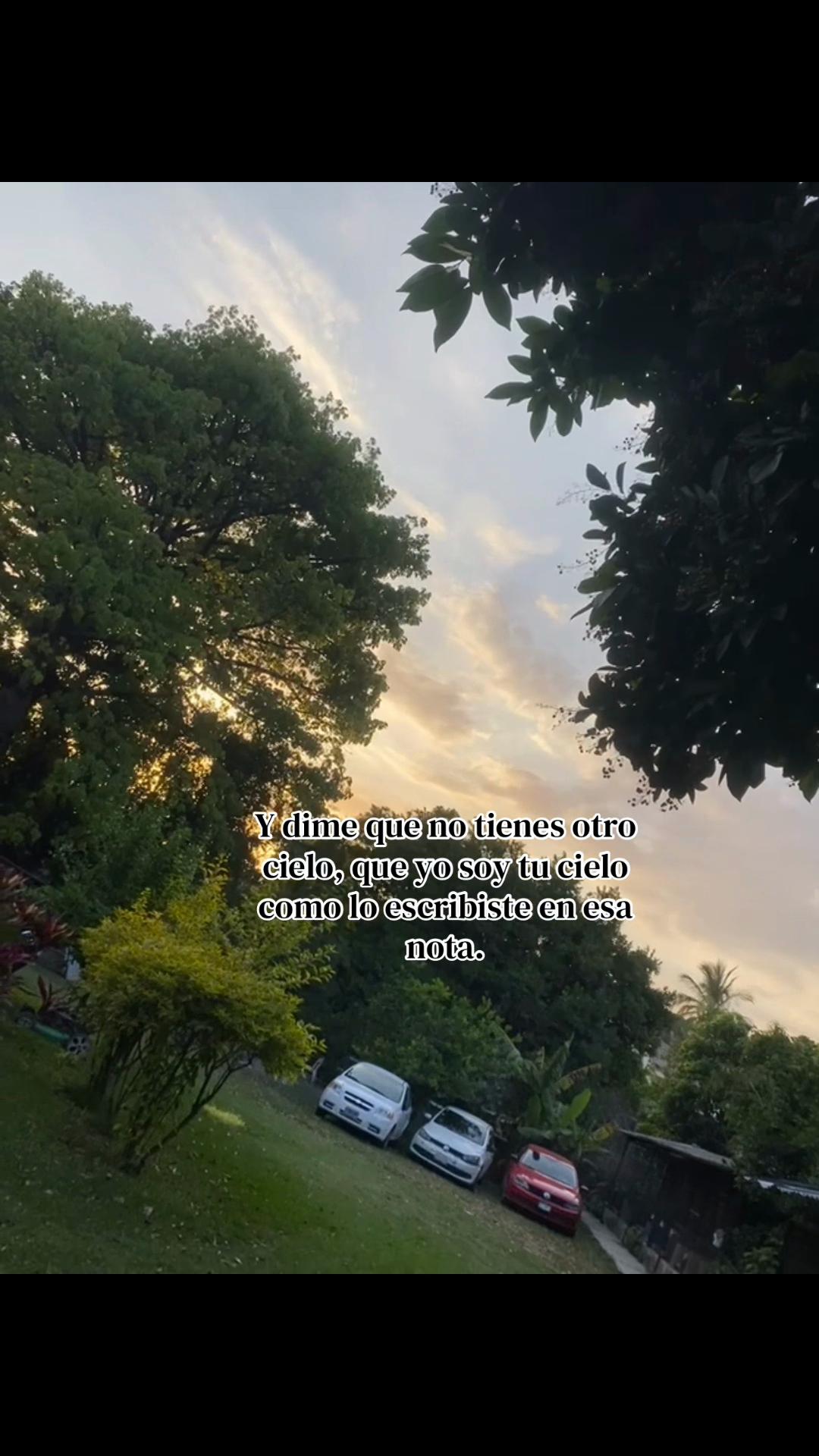 @🌙