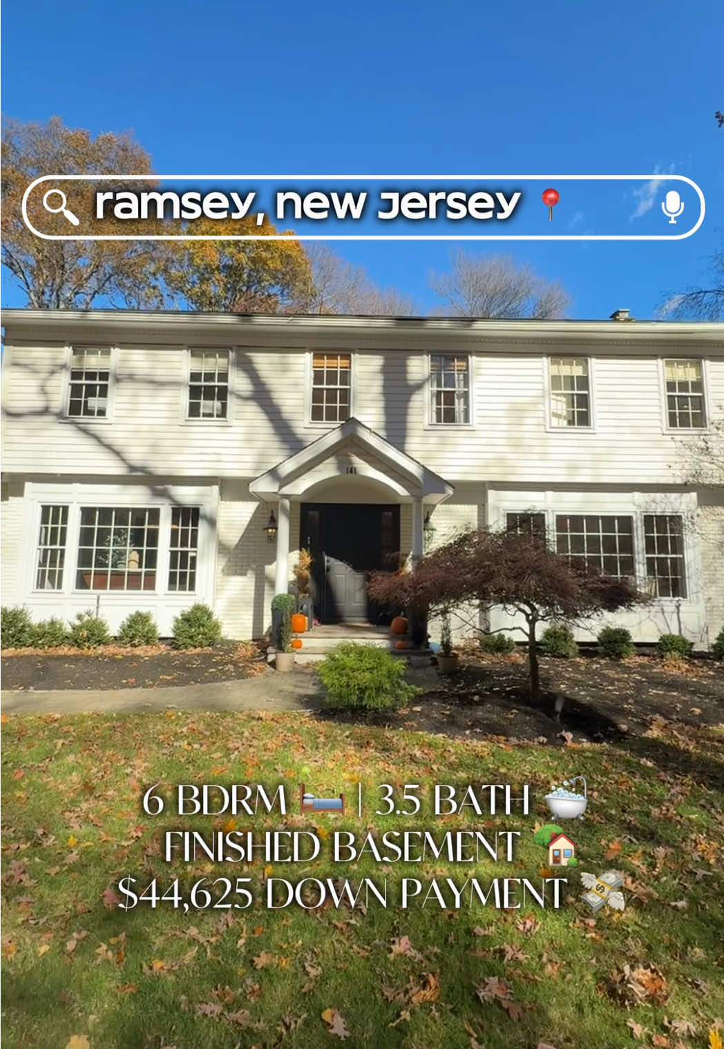 @hailymariehomes