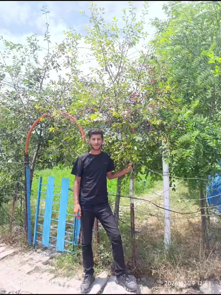 @Emrah 25