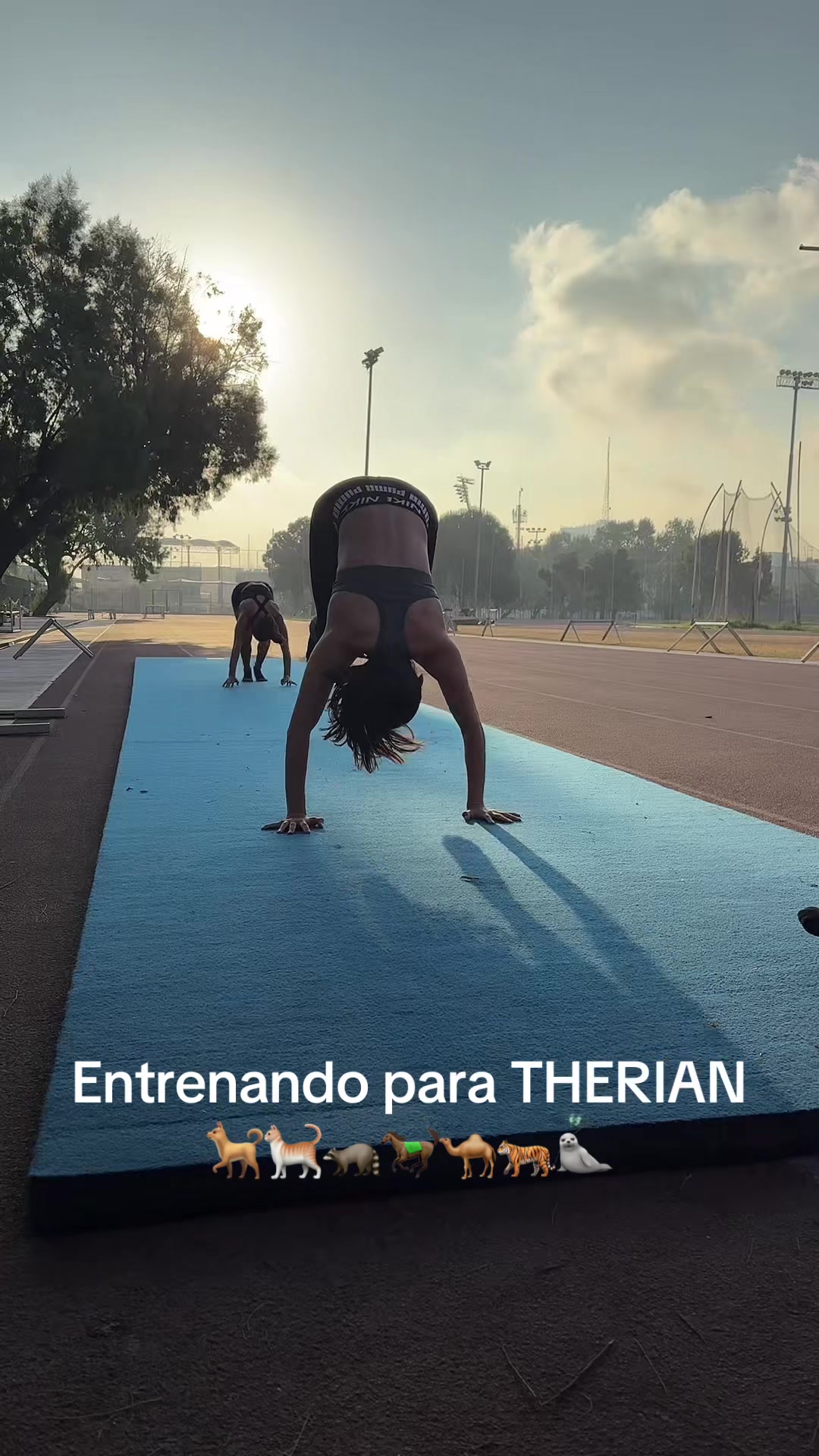 @Santiago Olivos