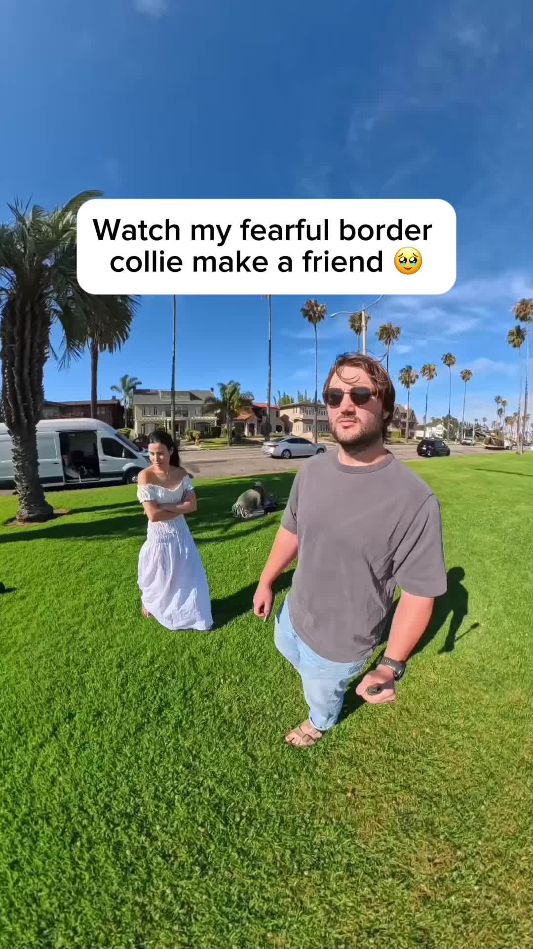 @forthedogs