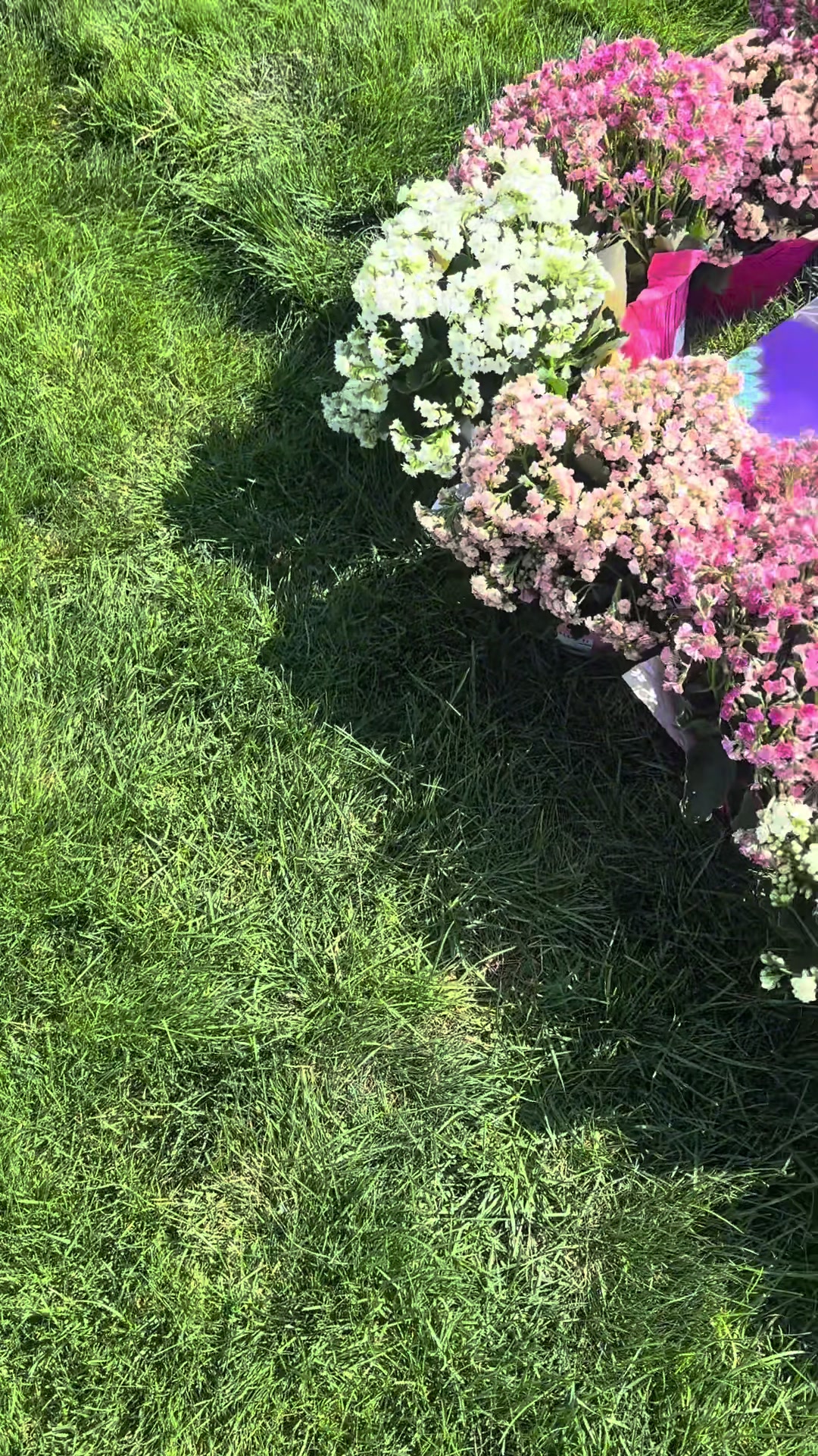 @MV98