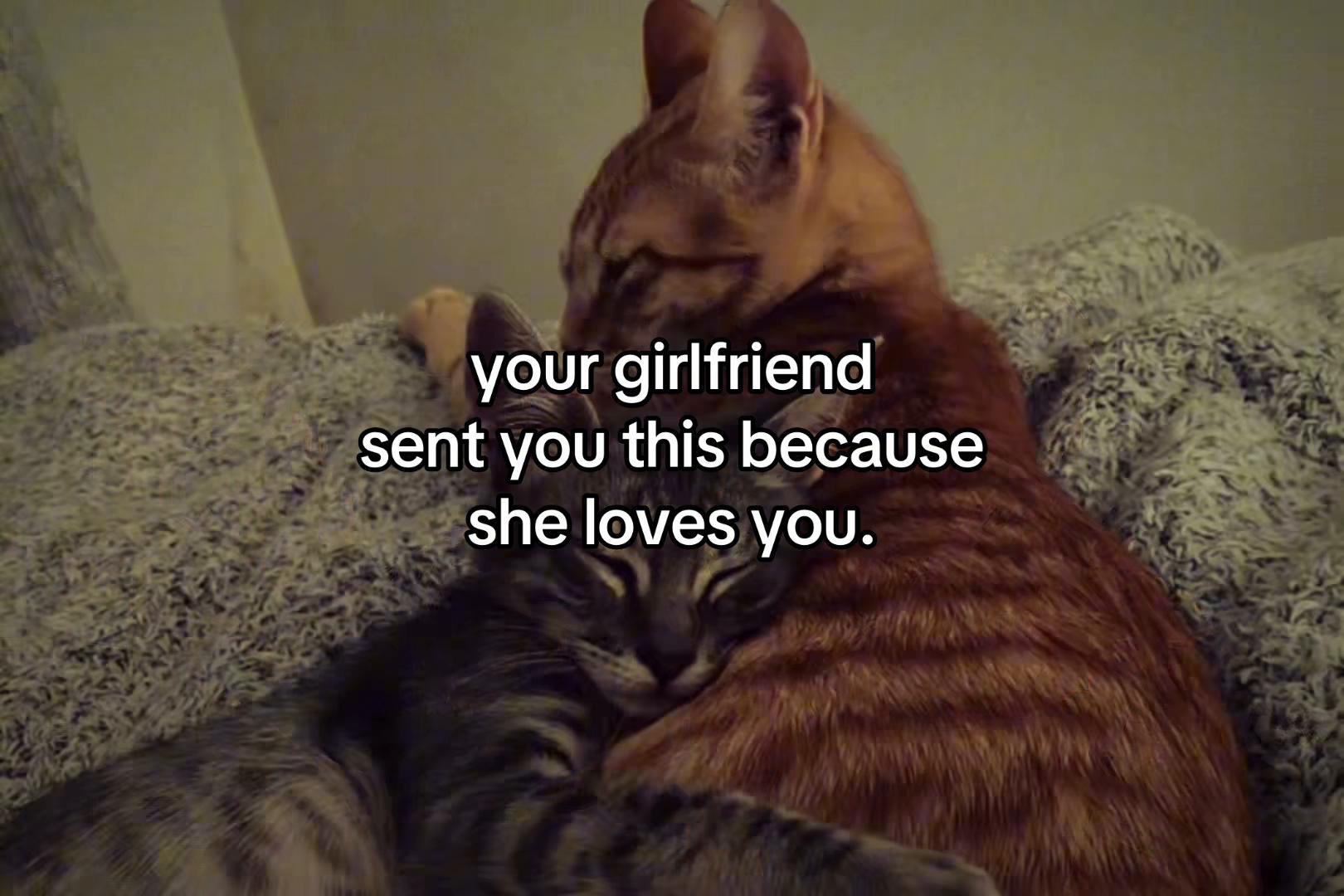 @sxalenz