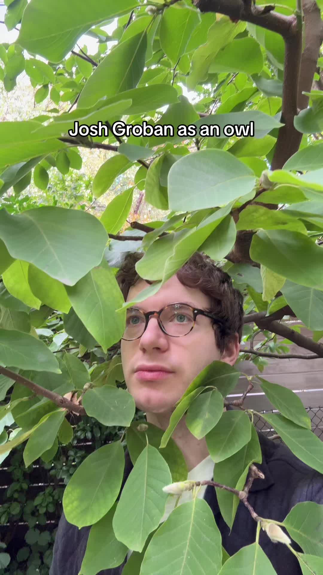 @joey morof
