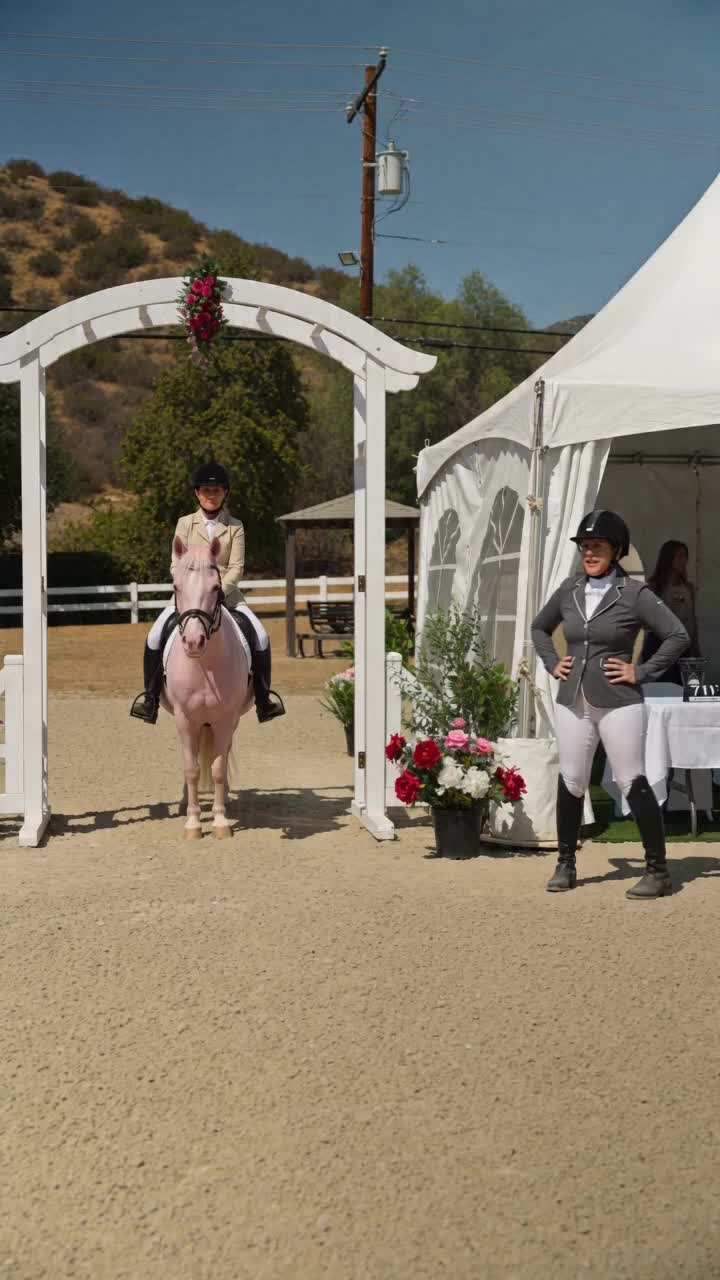 @DressageHub