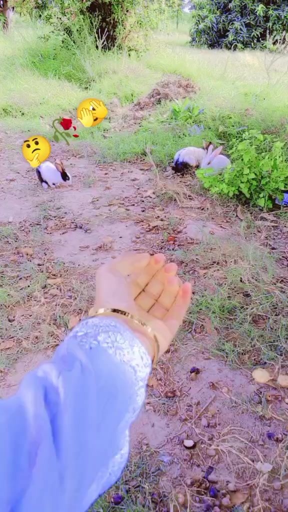 @Maharsb473