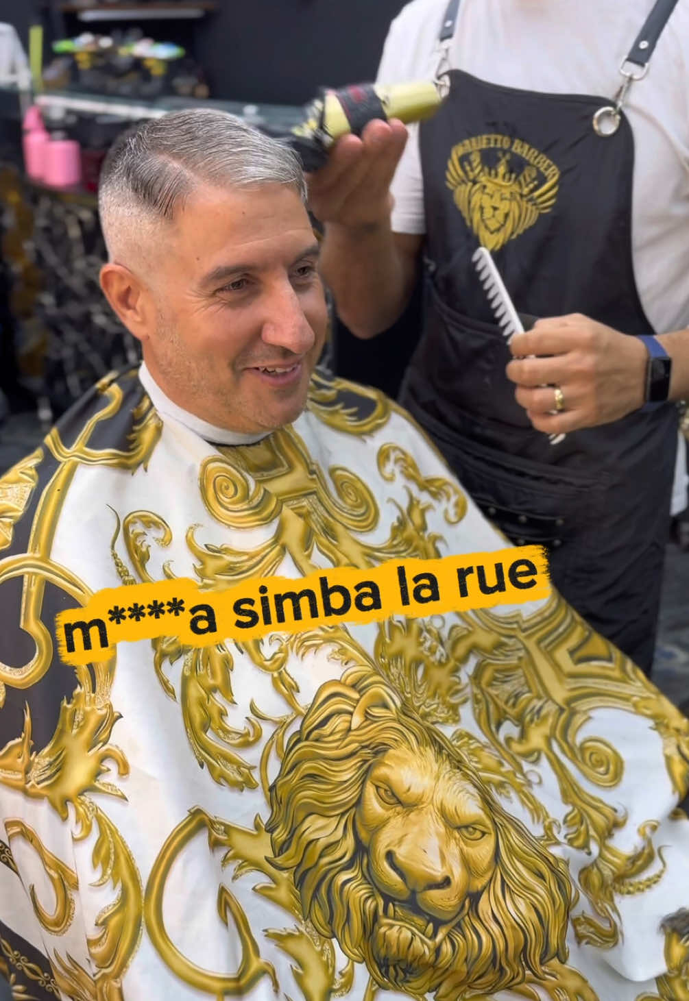 @Marco Ballarini Sindaco