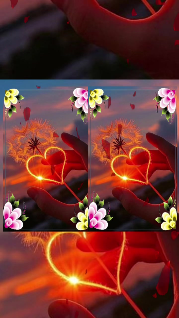 @ℒ𝑒𝒾𝓈𝒸 •••