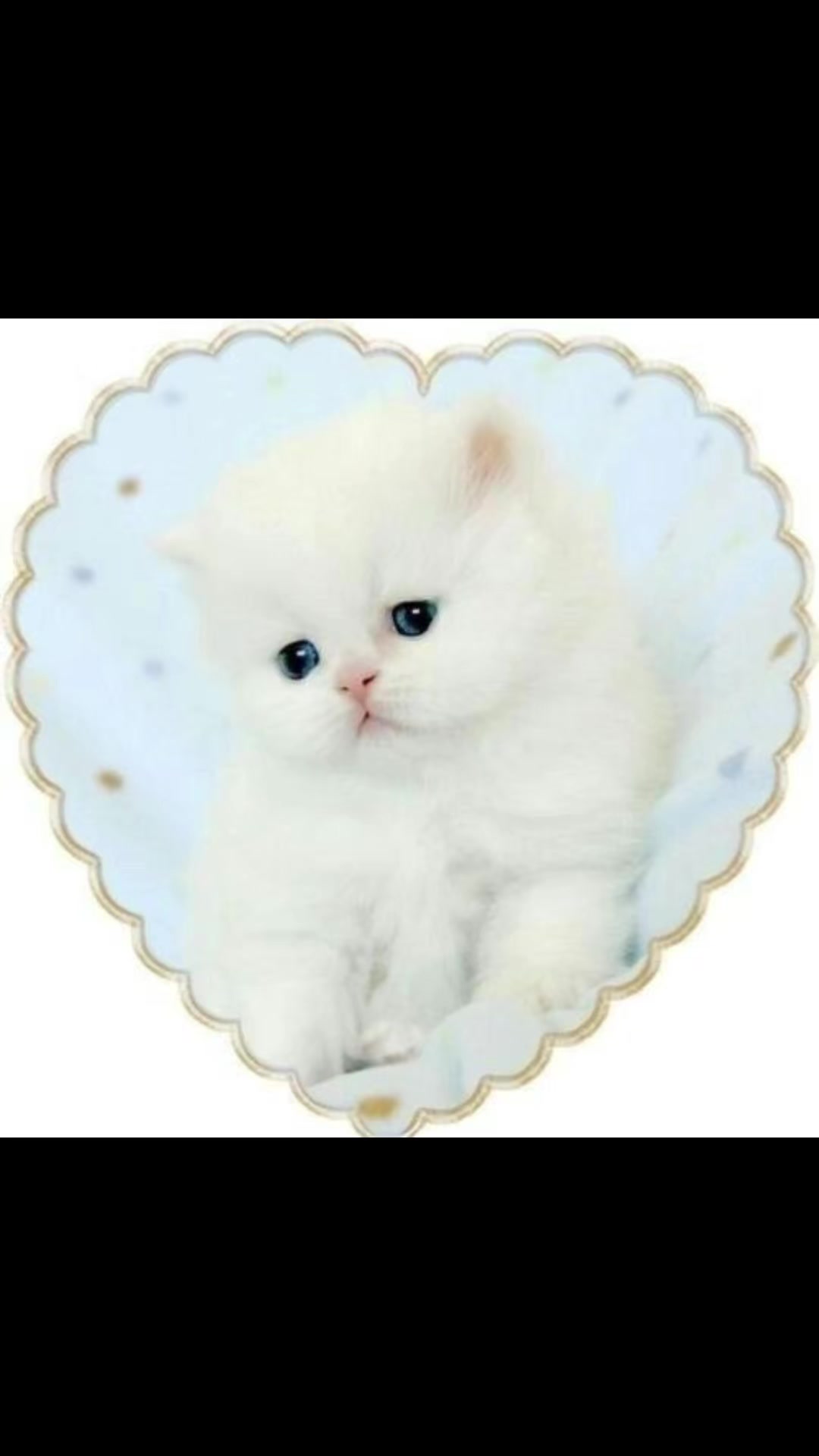 @poser_baskani4