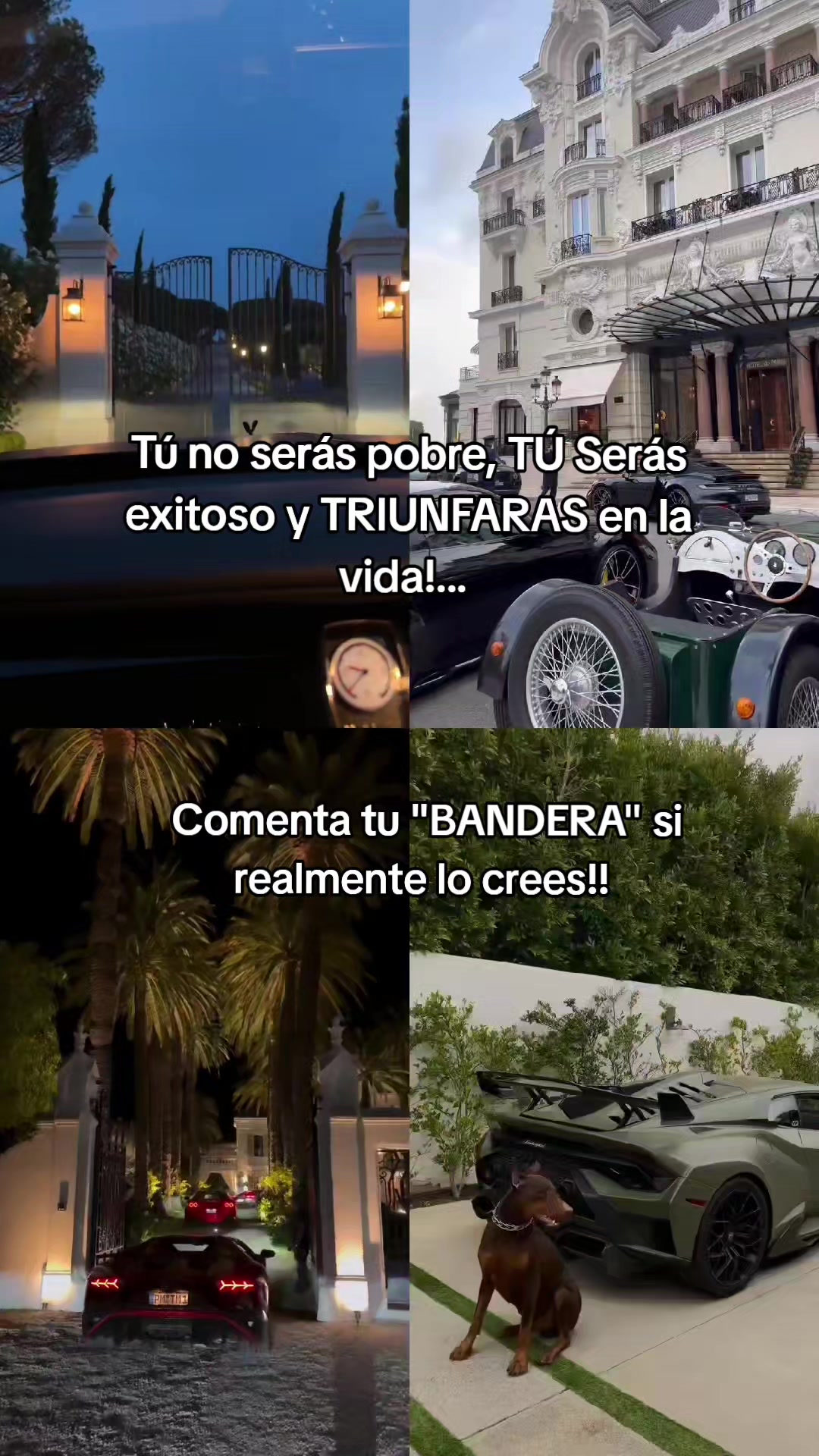 @gin_millonari