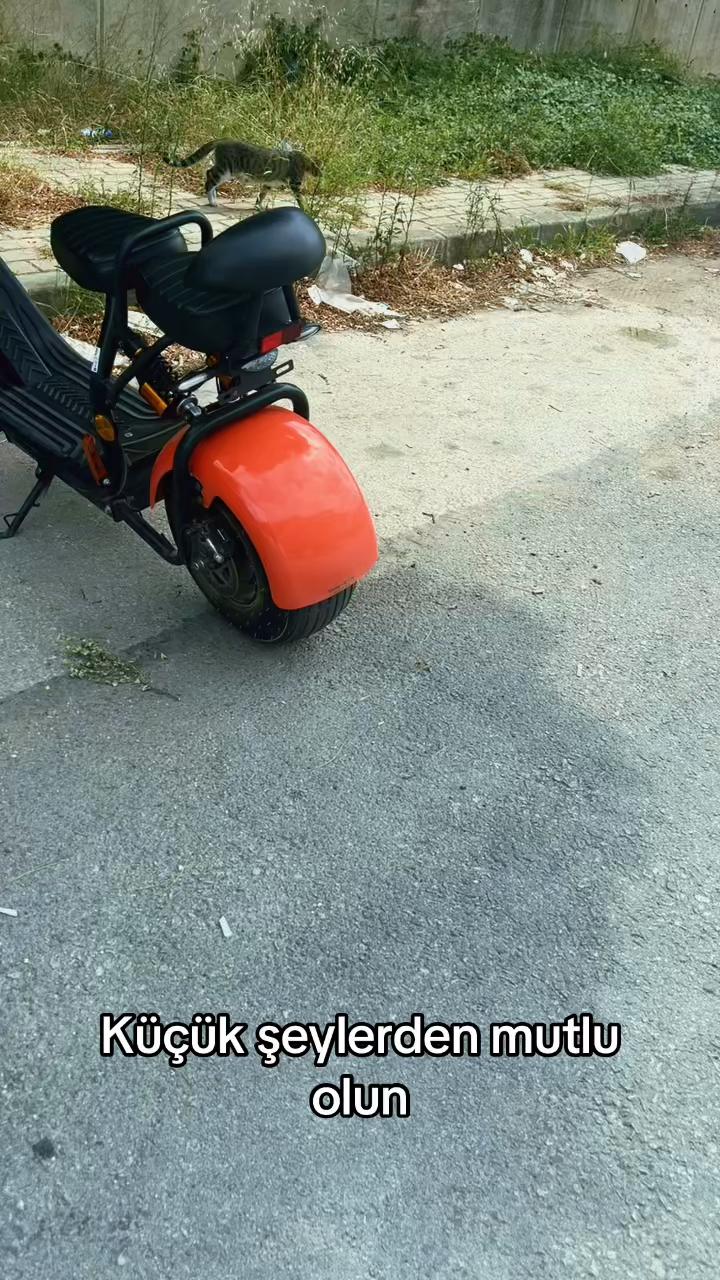 @kamilcop