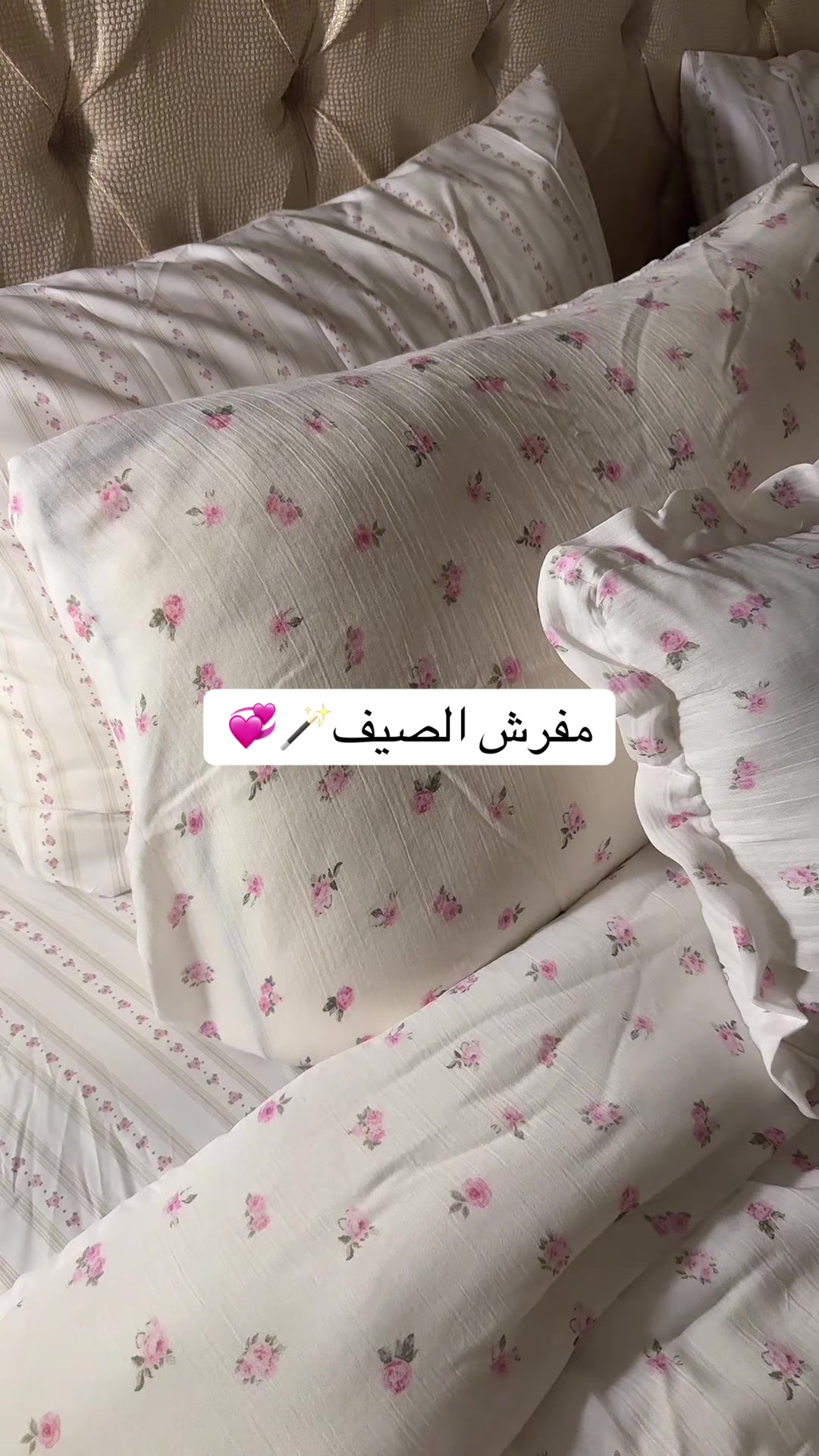 @qxx337