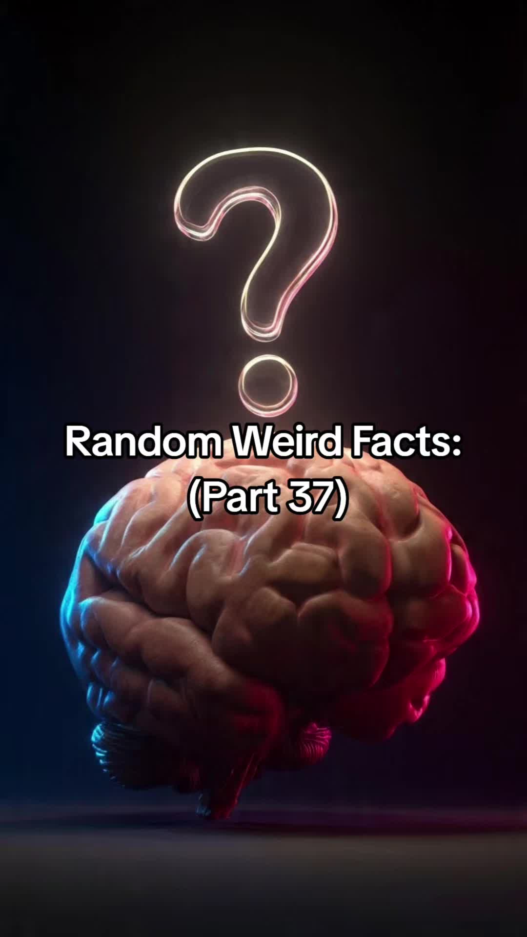 @FollowTheCrowsTV