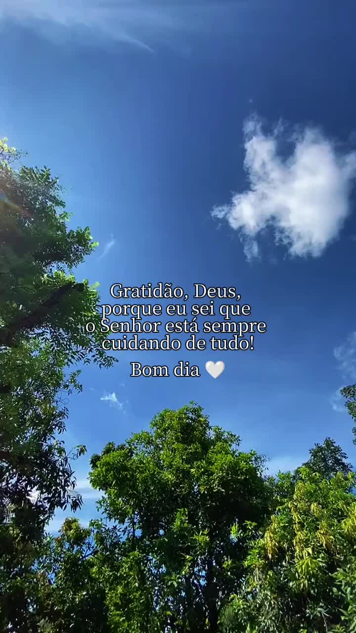 @Dani Gon&ccedil;alves