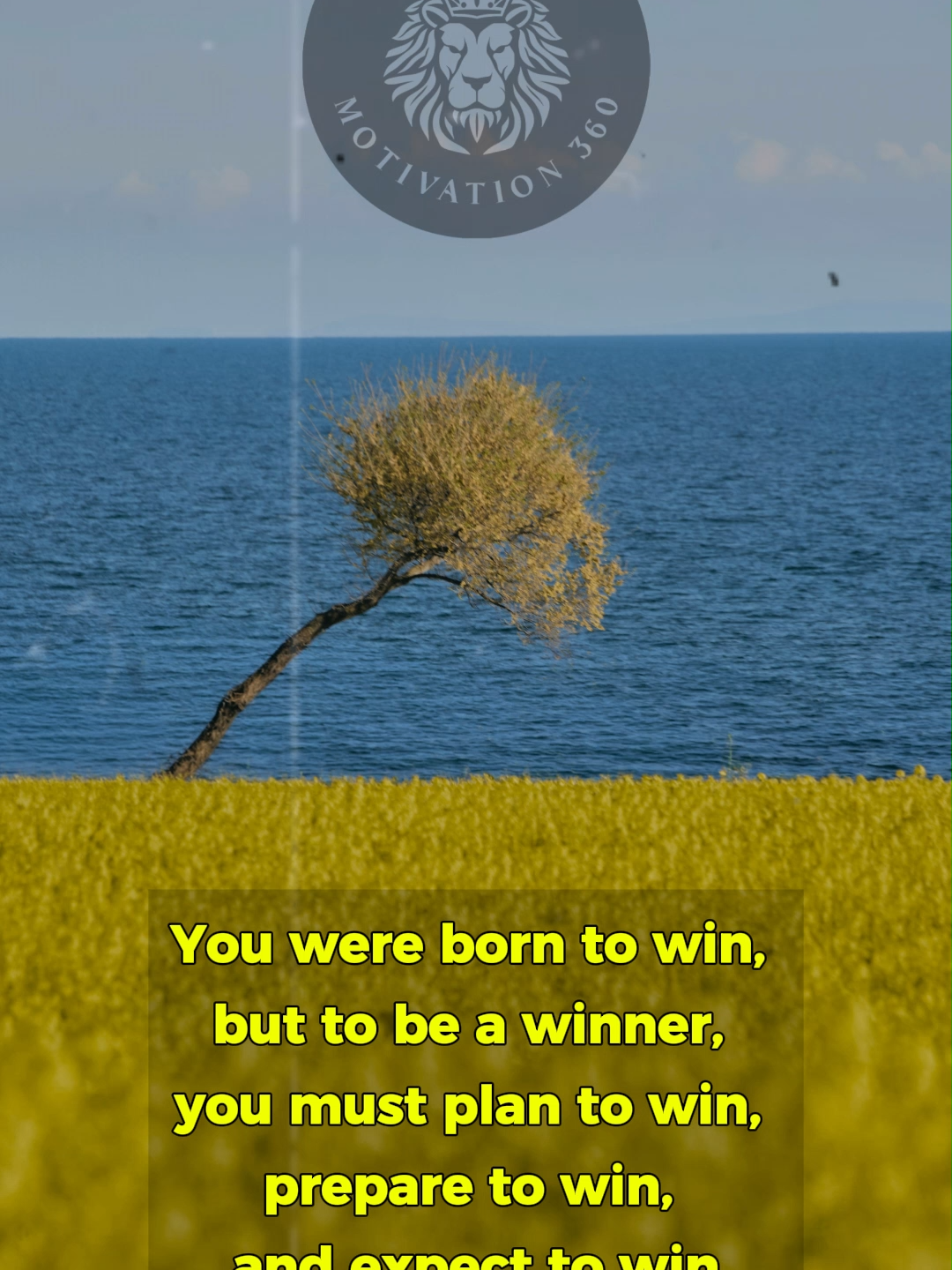 @Daily Motivation 360