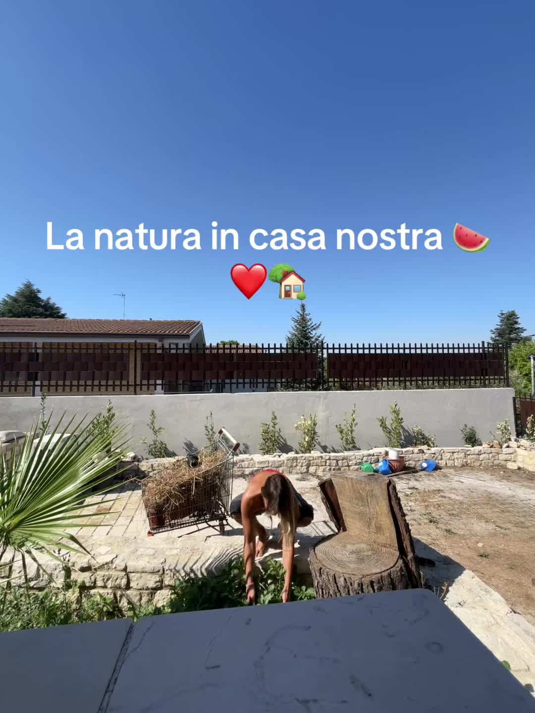 @Martina Kubeja