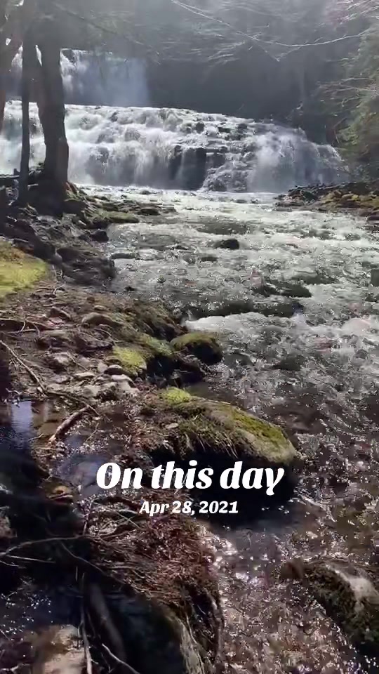 @whatzherface_