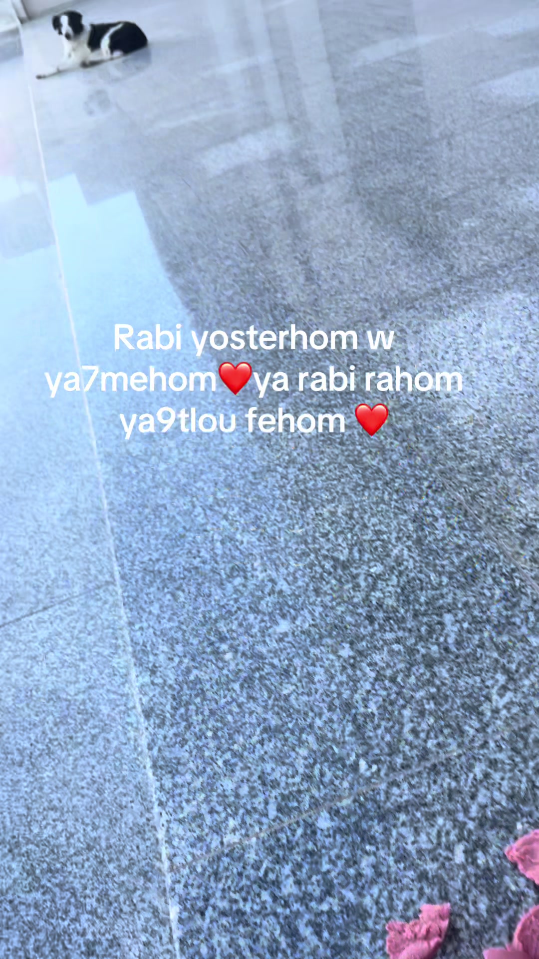 @Mila Amal Akid