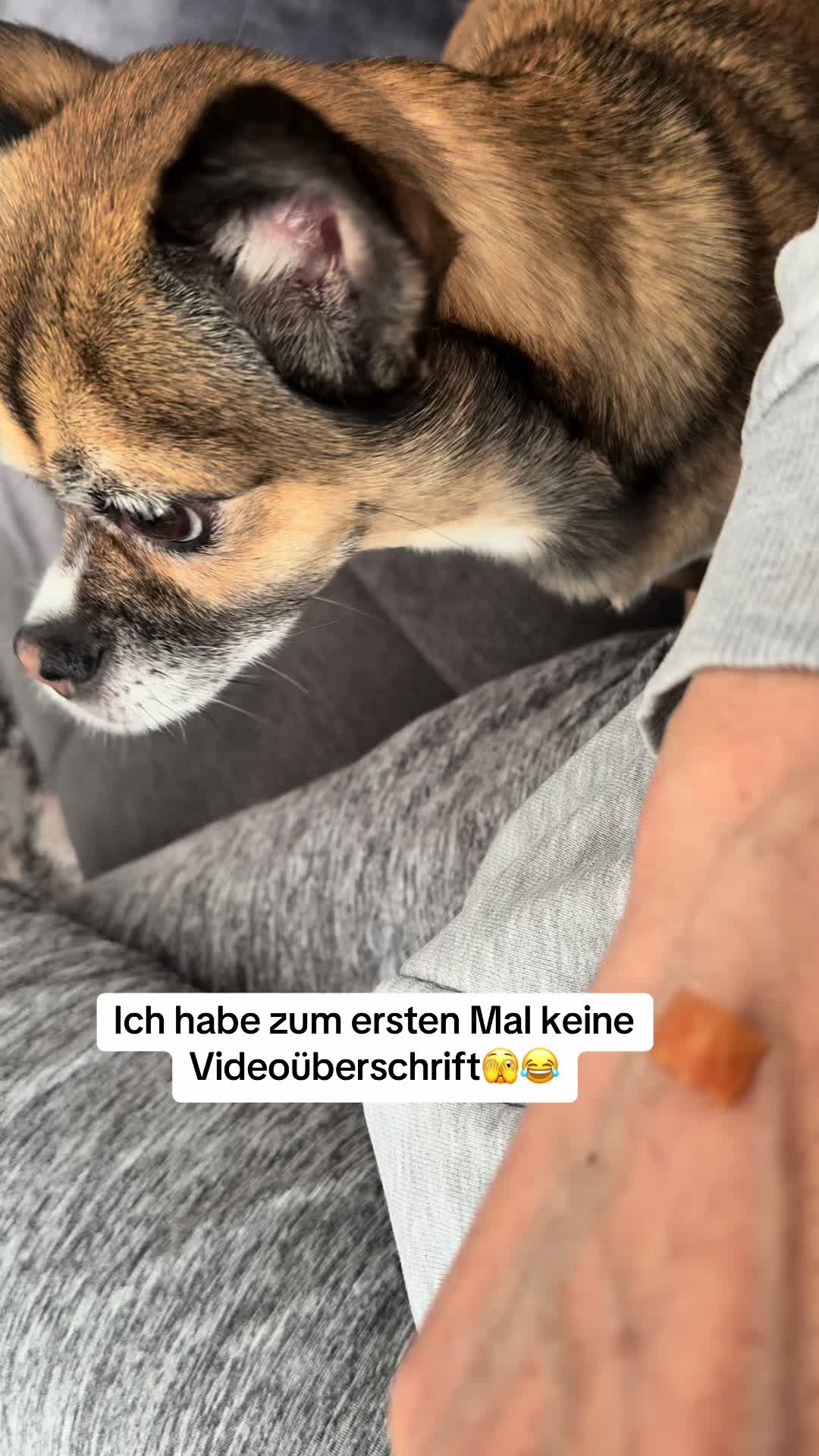 @Ichschützekinderundtiere