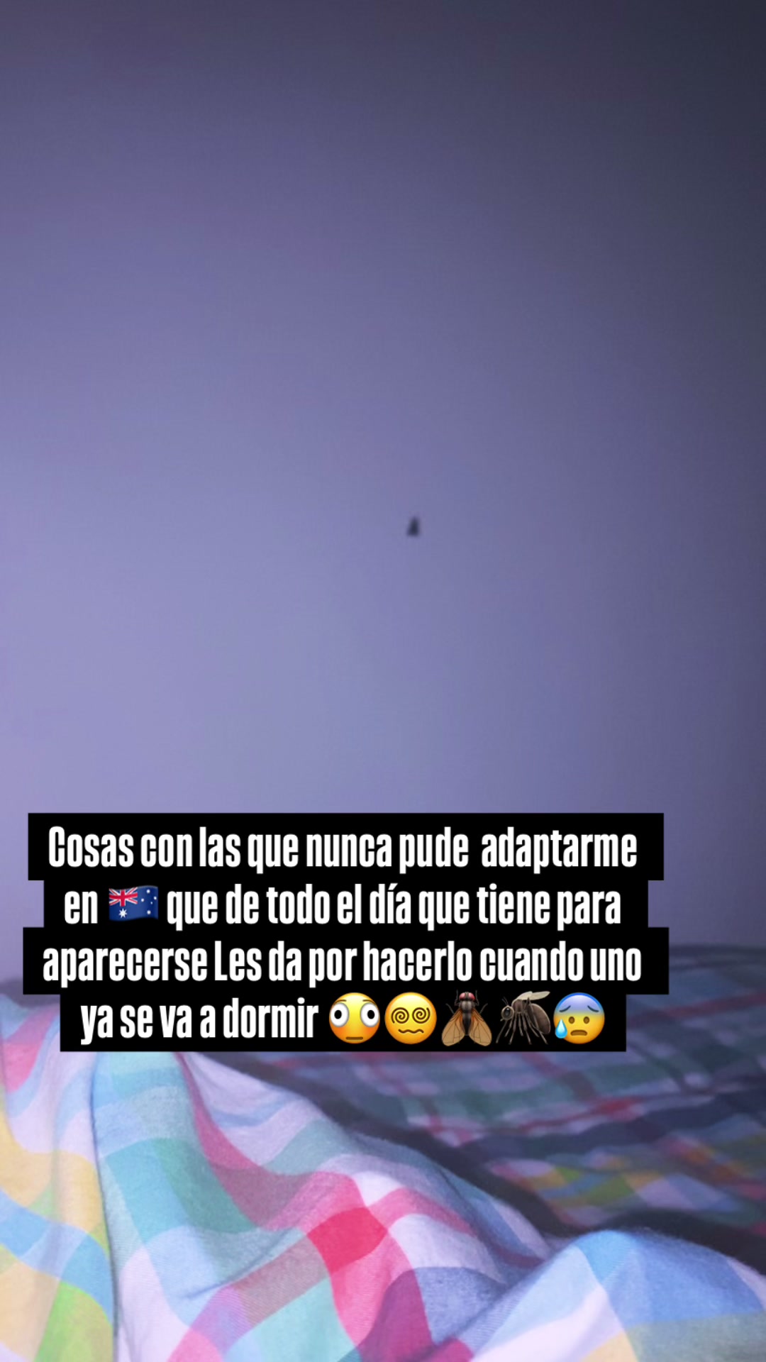 @Ruedas_SinLimites🔥♿️