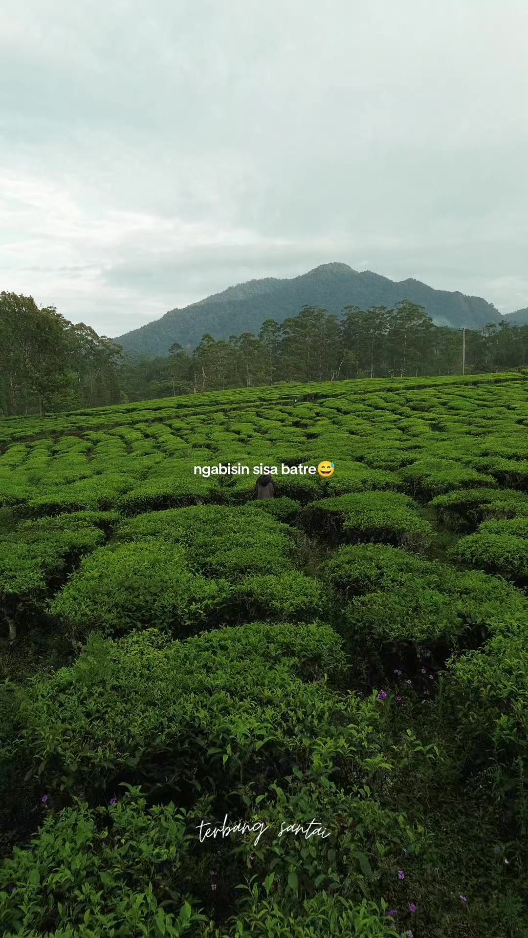 @terbang santai