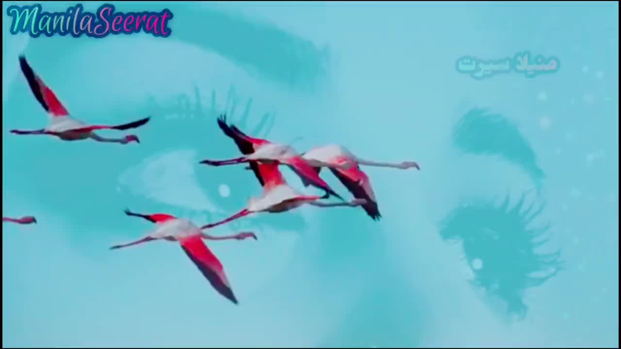 @SEERAt