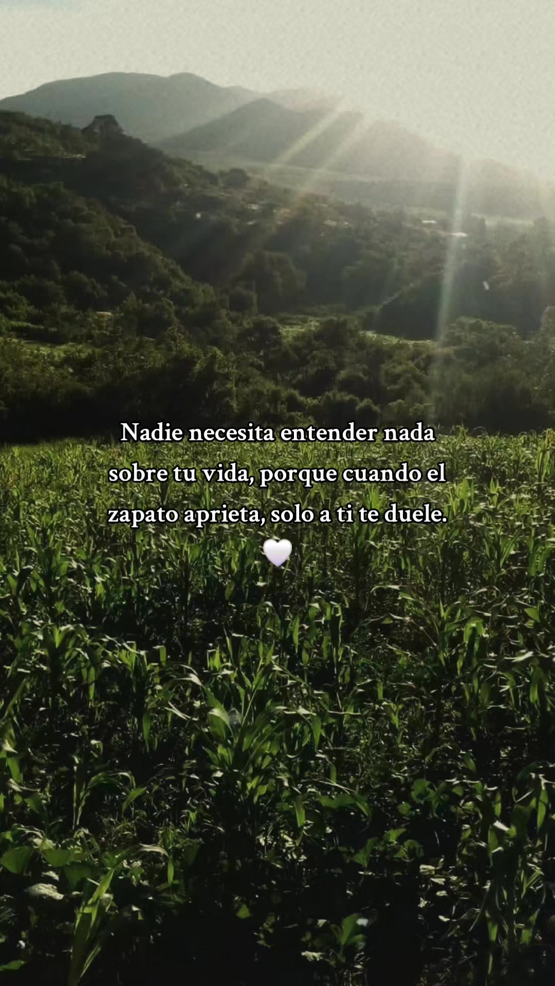 @erikabravo258