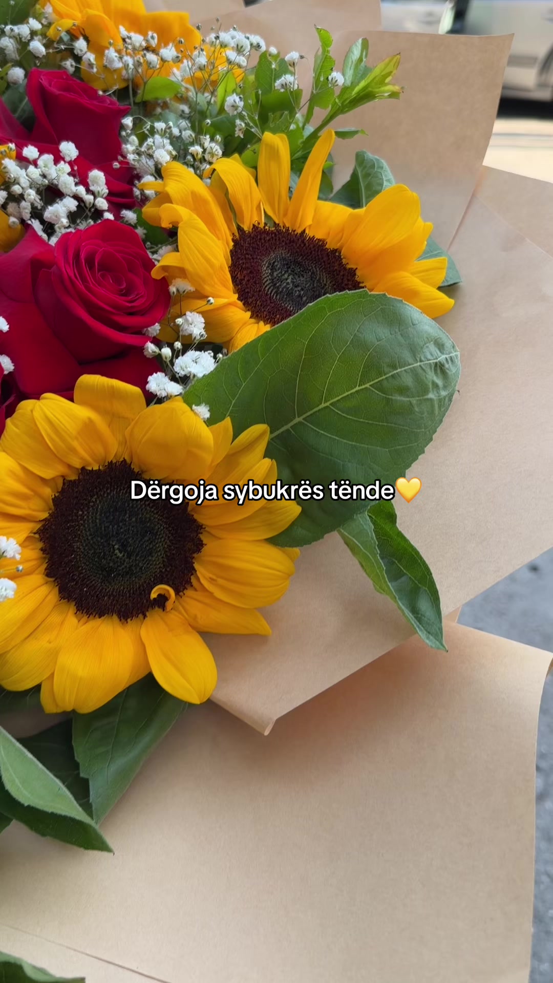 @salar_lule