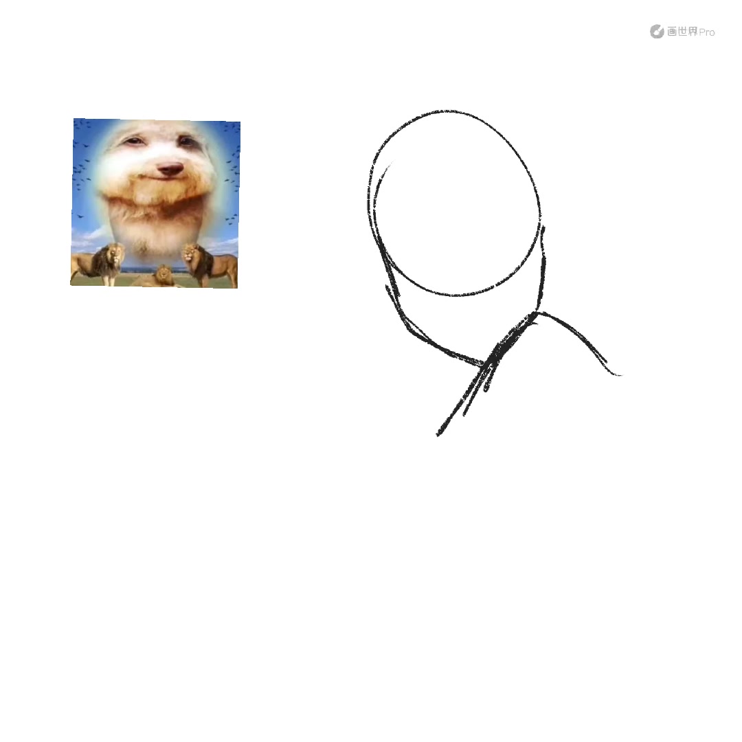 @usagimofatty