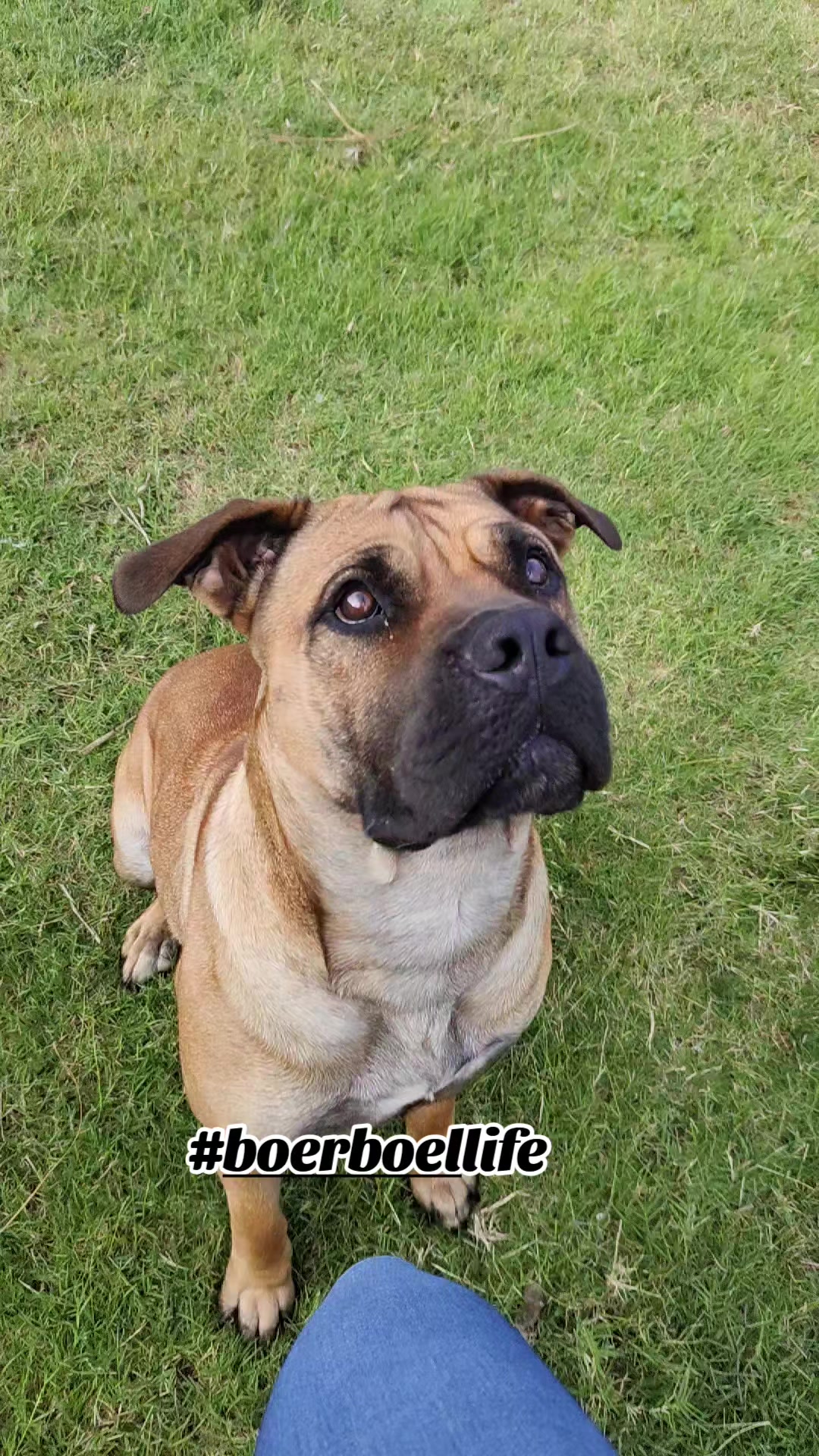 @Mishatheboerboel