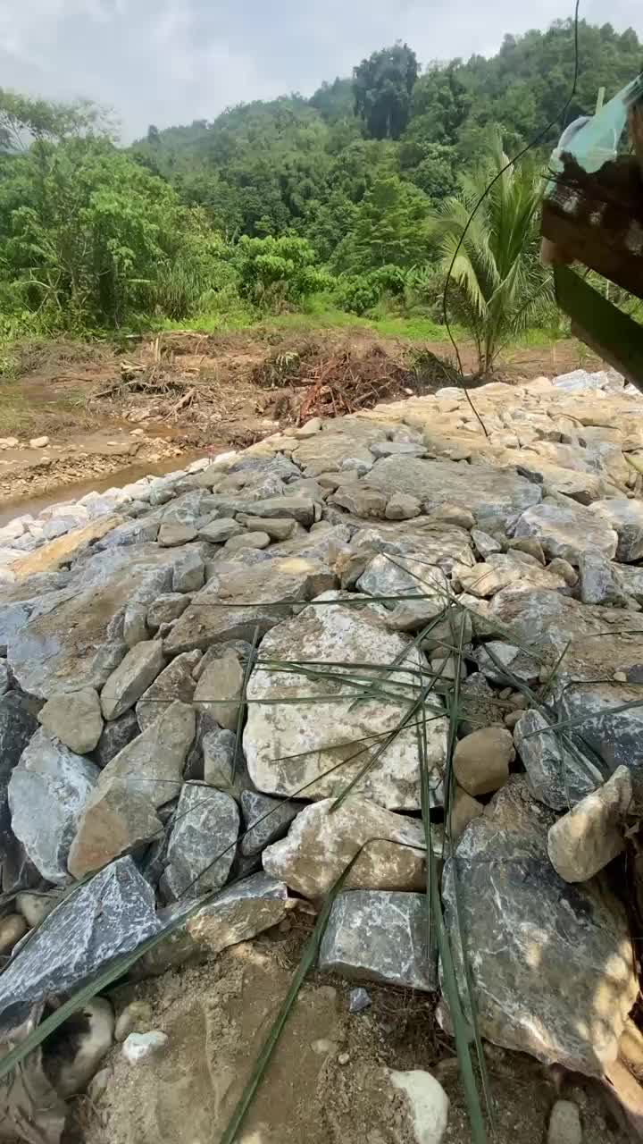@Yoyo95🇲🇾