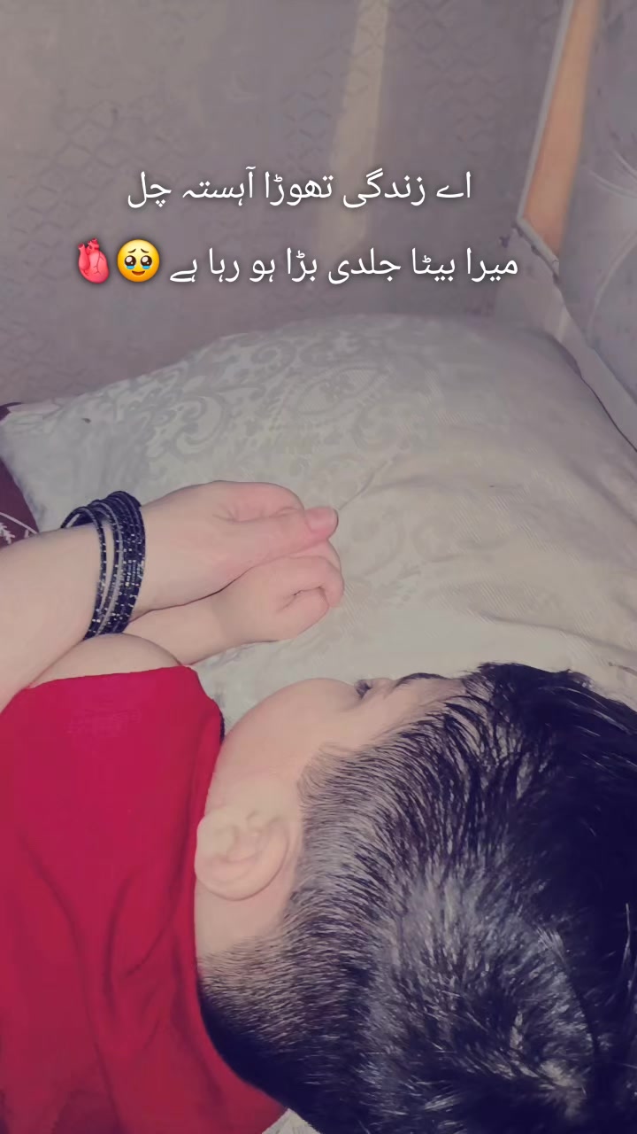 @S.E.H.A.R