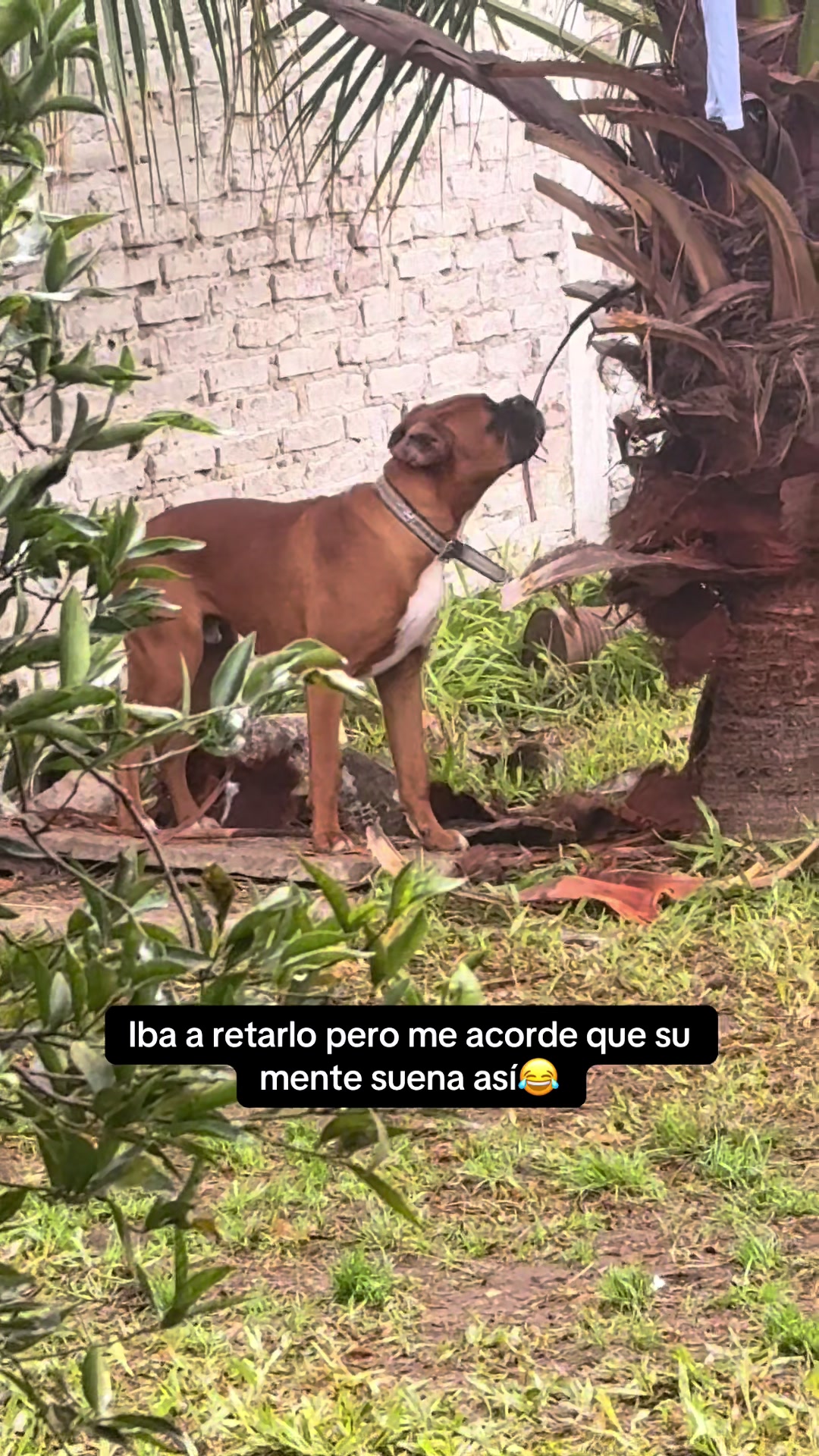 @Kat
