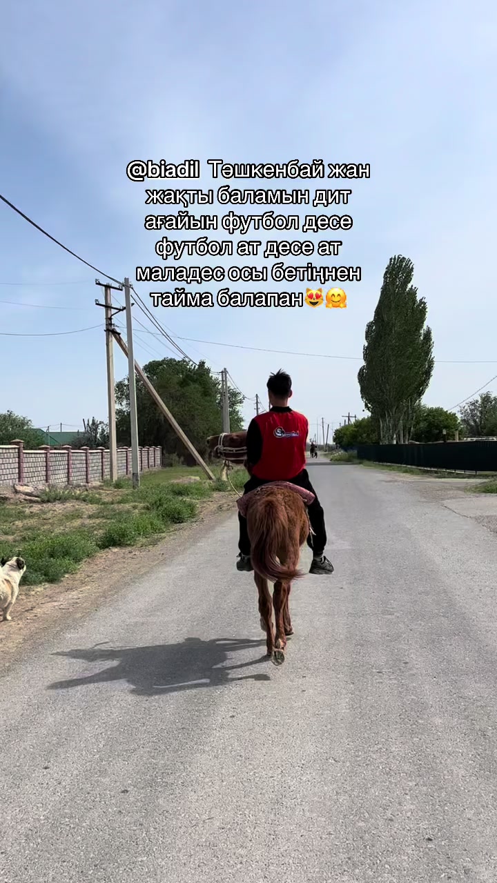 @Ermaxanuly_ED❗️