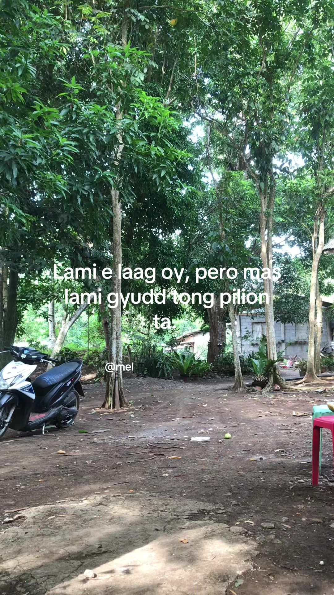 @leomel💤