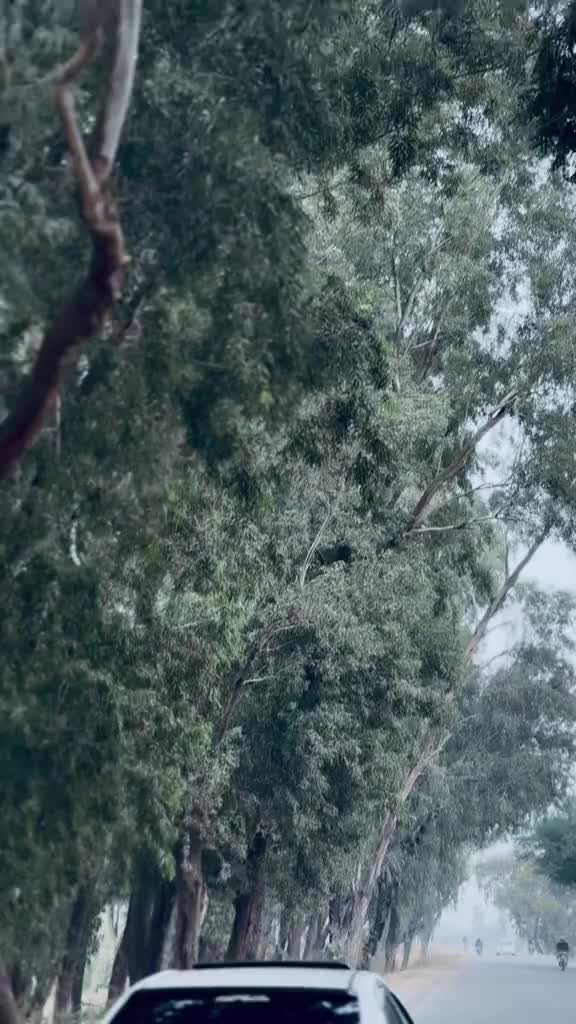 @sohail.khanw