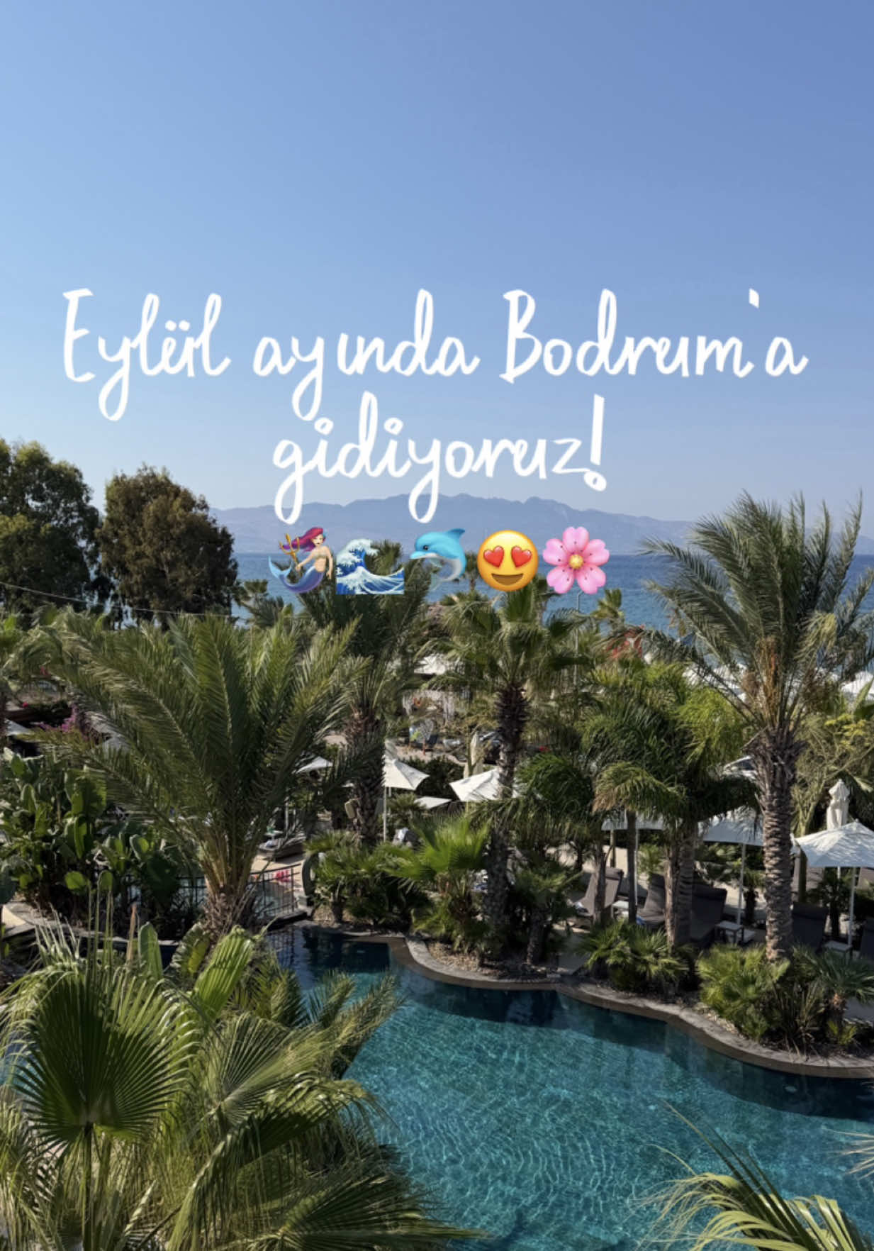 @humeyra