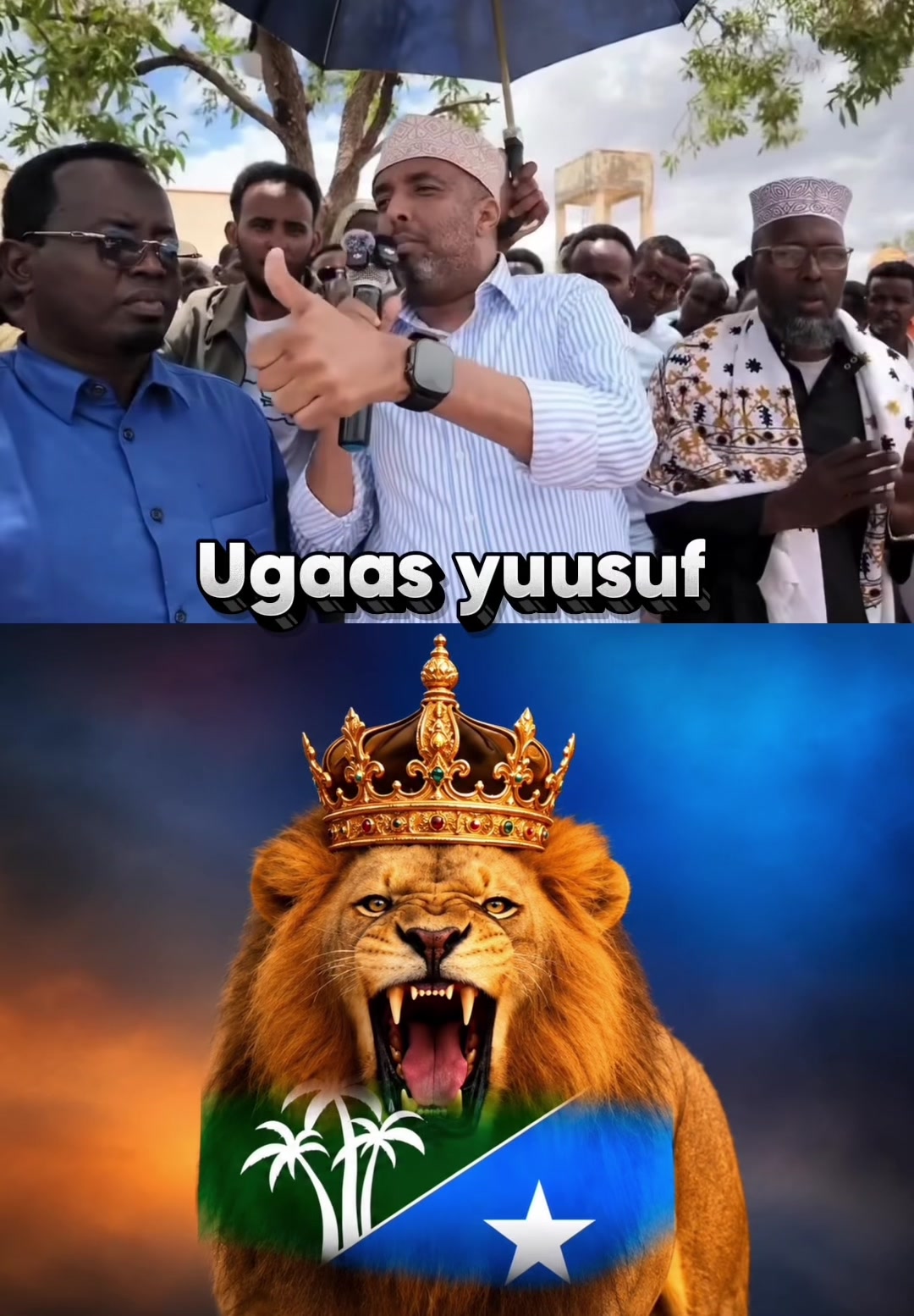 @Shaffi Abdi