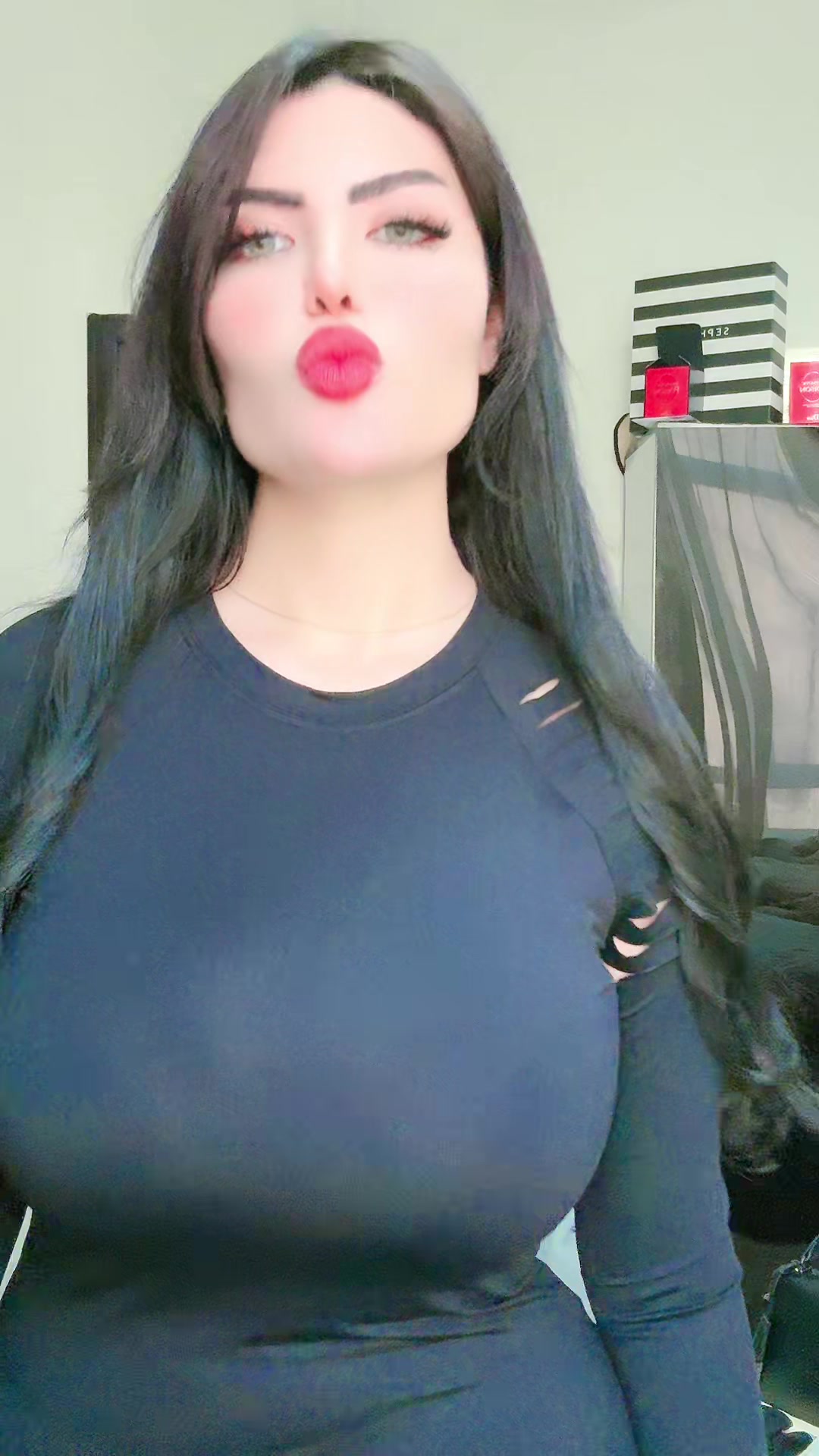@Nourنور🐾