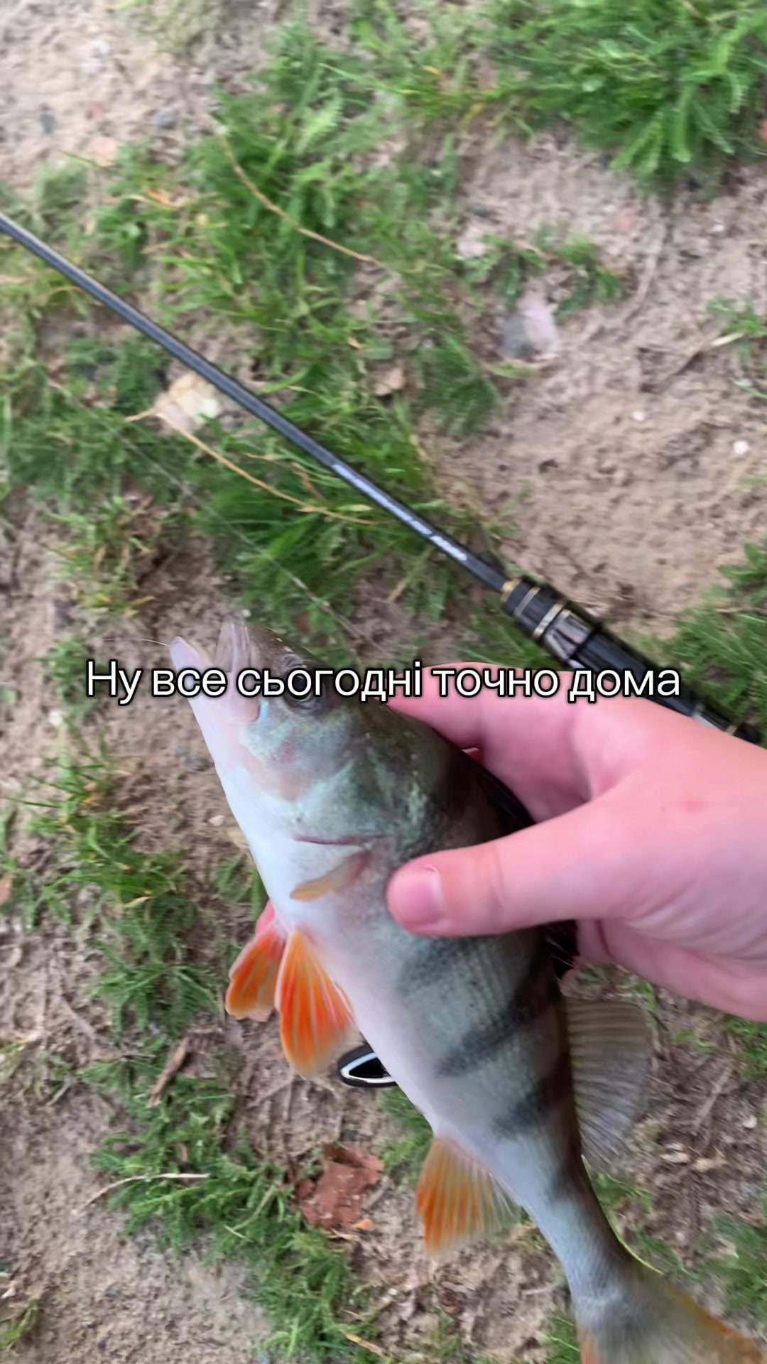@High Fishing