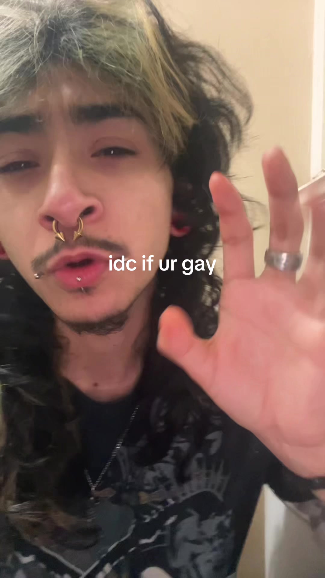 @anselll