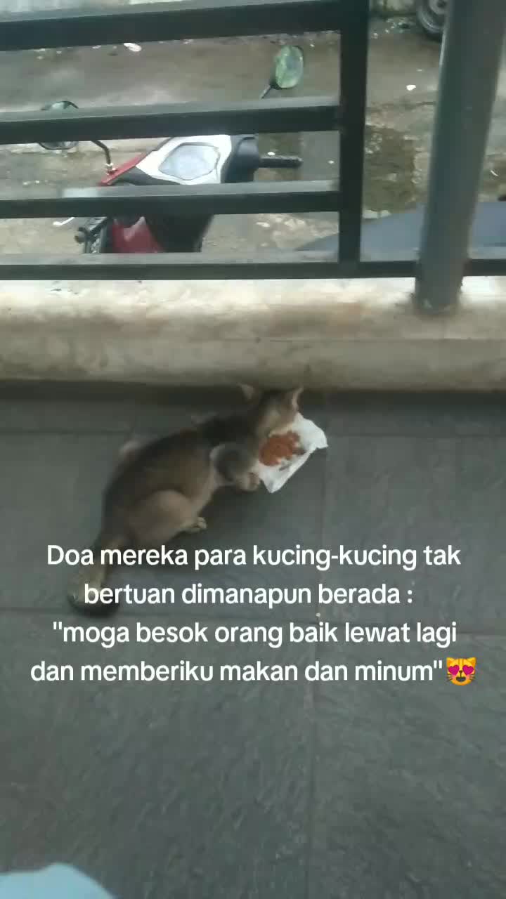 @Hesti