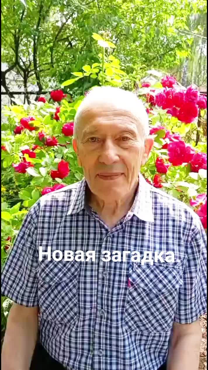 @РифмоДед