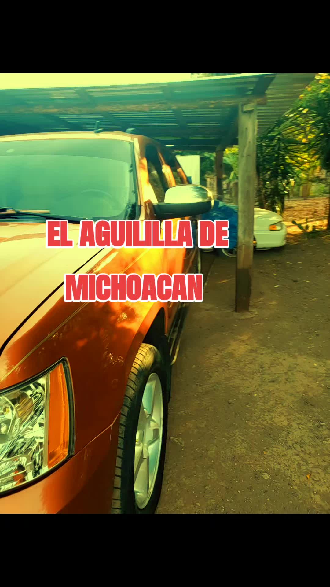 @EL_AGUILILLA_DE_MICHOACAN