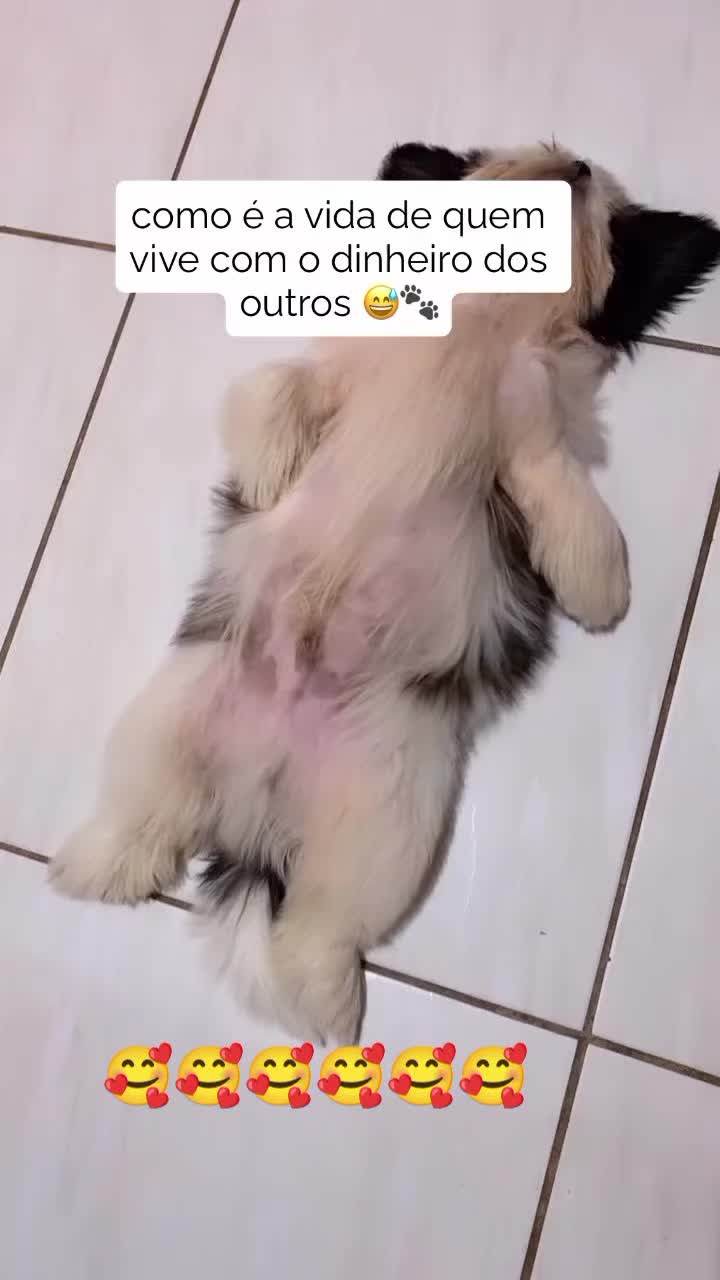 @Marcos Sarinho