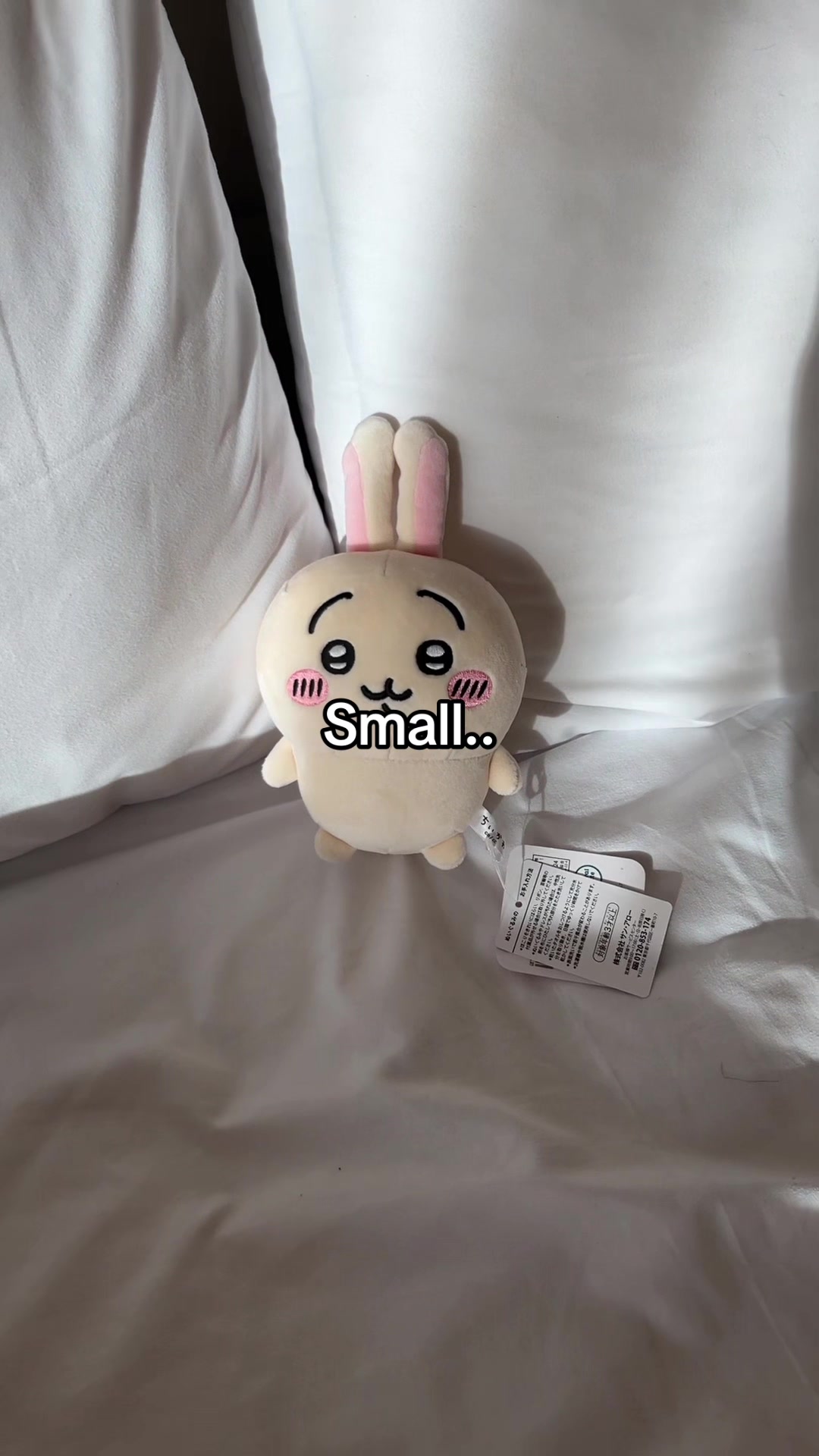 @⸝⸝ Bev ✦ 🐰🍮 // #0 Usagi fan