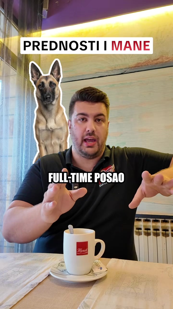 @superdog.akademija