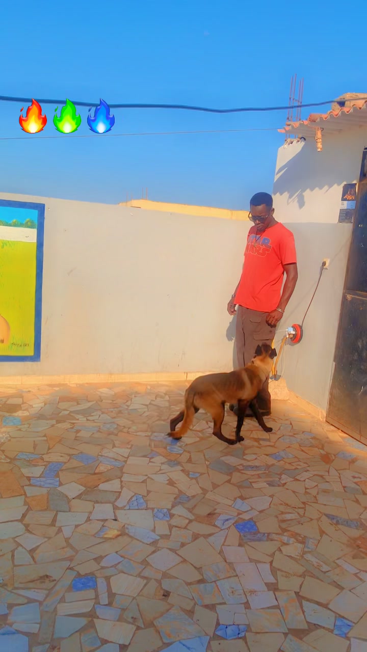 @G.I.C.N 🇸🇳🐾Ma&icirc;tre Weuz🐕&zwj;🦺